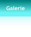 Galerie