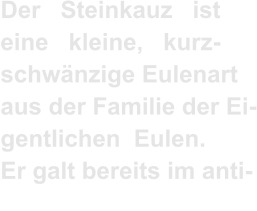 Der   Steinkauz   ist   eine   kleine,   kurz- schwänzige Eulenart  aus der Familie der Ei- gentlichen  Eulen. Er galt bereits im anti-